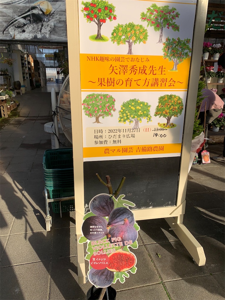 f:id:jinjinchang:20221129210631j:image