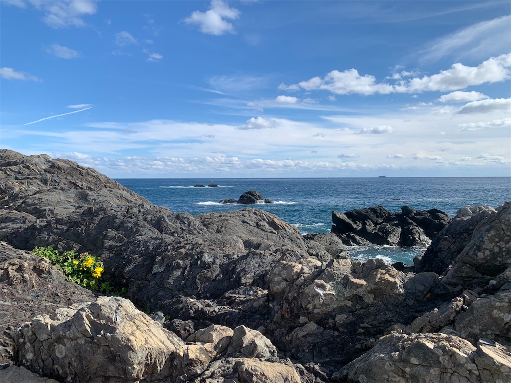 f:id:jinjinchang:20241220195753j:image