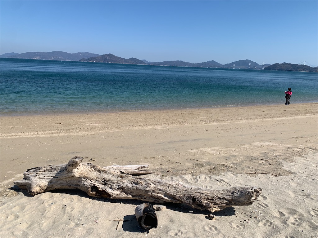 f:id:jinjinchang:20250226213950j:image
