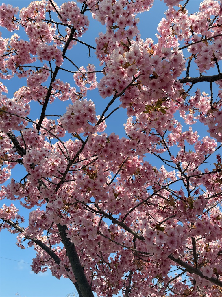 f:id:jinjinchang:20260315212347j:image