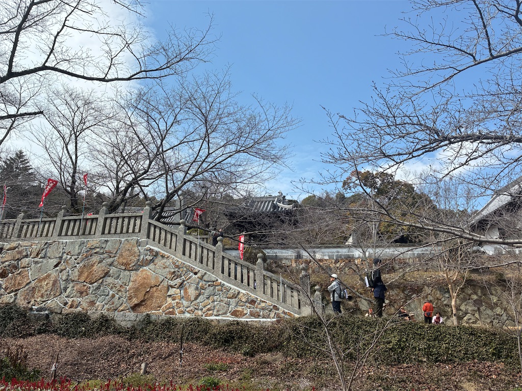 f:id:jinjinchang:20260315212355j:image