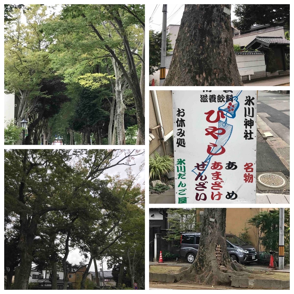 f:id:jinjya100:20190812112438j:plain