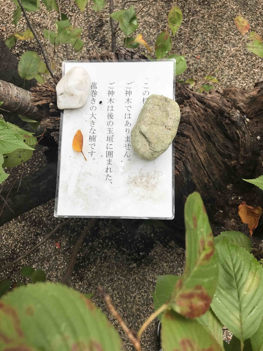 f:id:jinjya100:20190812152301j:plain
