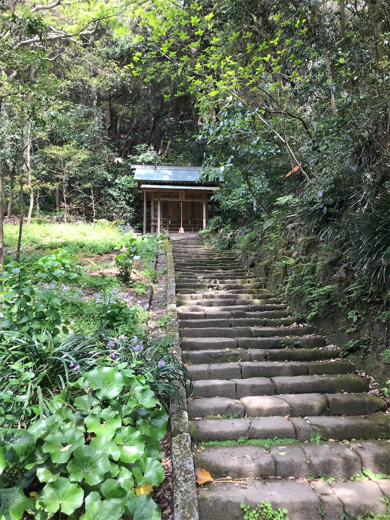 f:id:jinjyaheikou:20190424123239j:image f:id:jinjyaheikou:20190424123239j:image