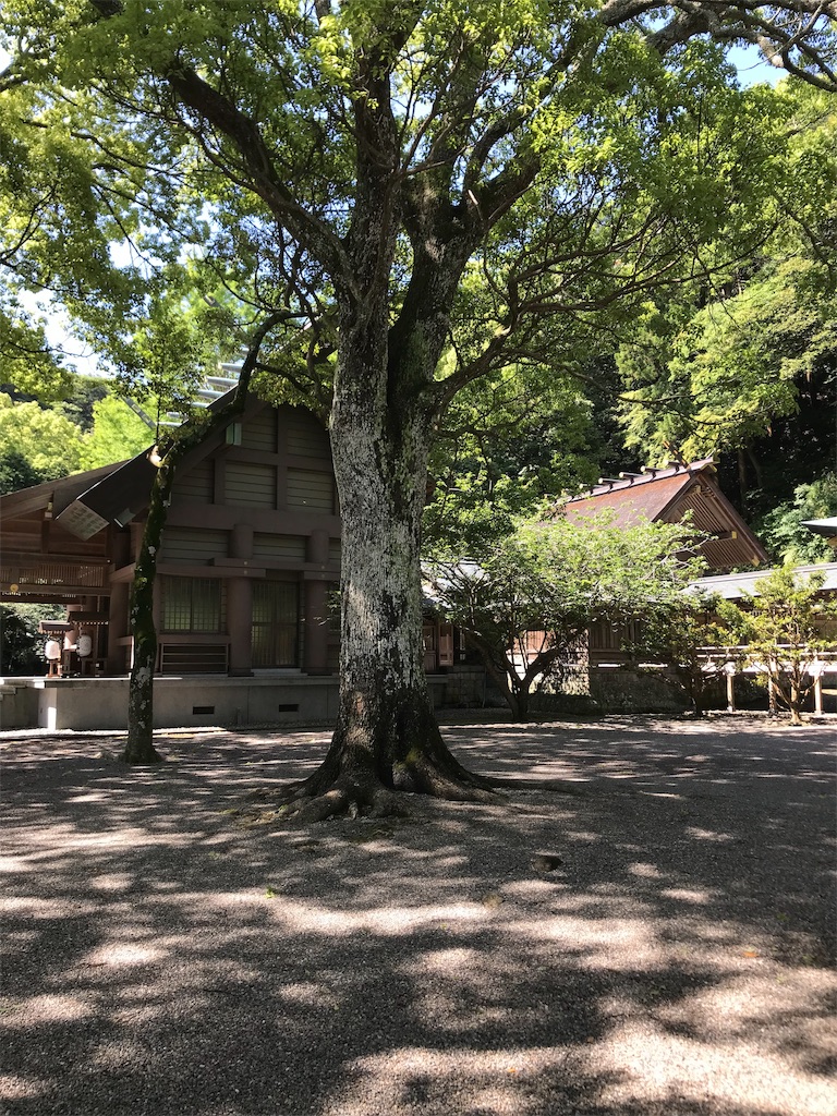 f:id:jinjyaheikou:20190522165536j:image f:id:jinjyaheikou:20190522165536j:image