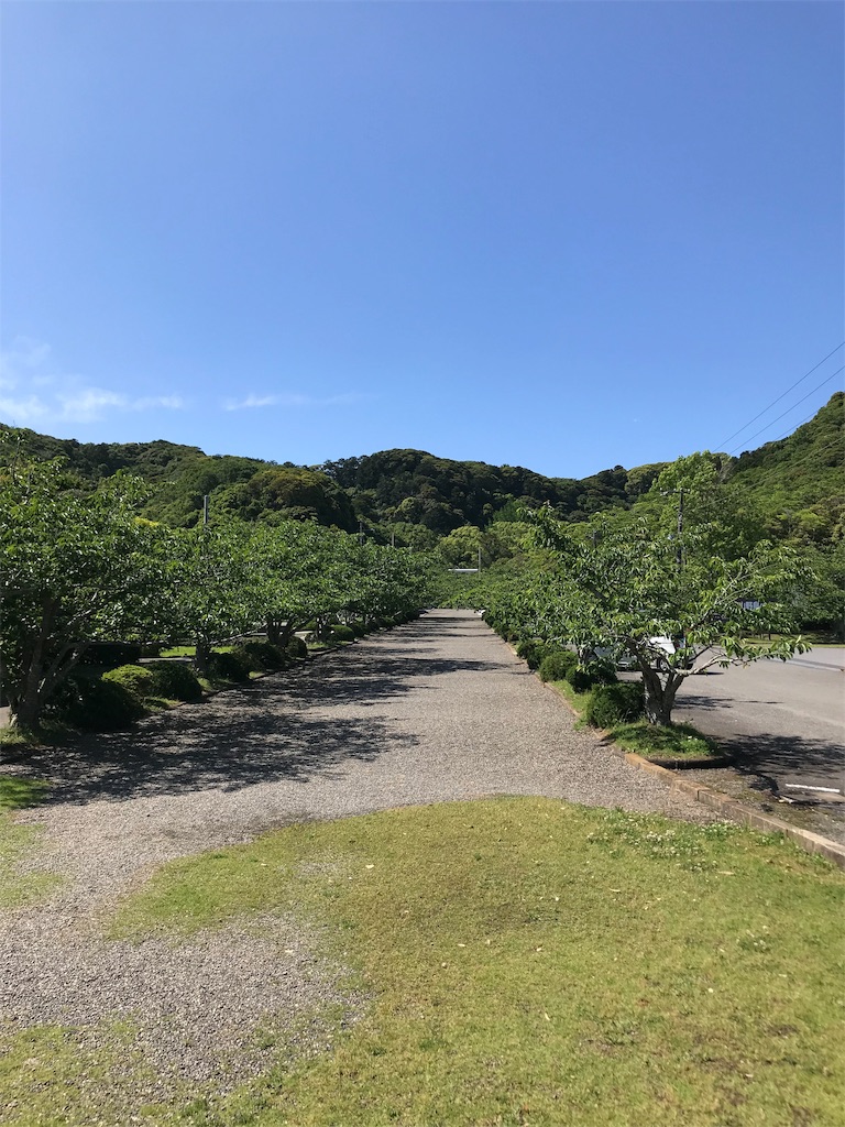 f:id:jinjyaheikou:20190522165540j:image f:id:jinjyaheikou:20190522165540j:image