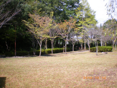 f:id:jinkan_mizuho:20101013132842j:image