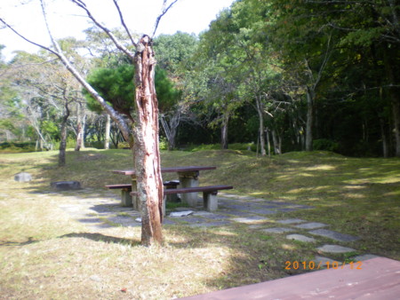 f:id:jinkan_mizuho:20101013132853j:image