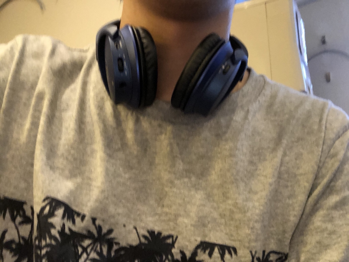 f:id:jinkunblog:20190617070644j:plain