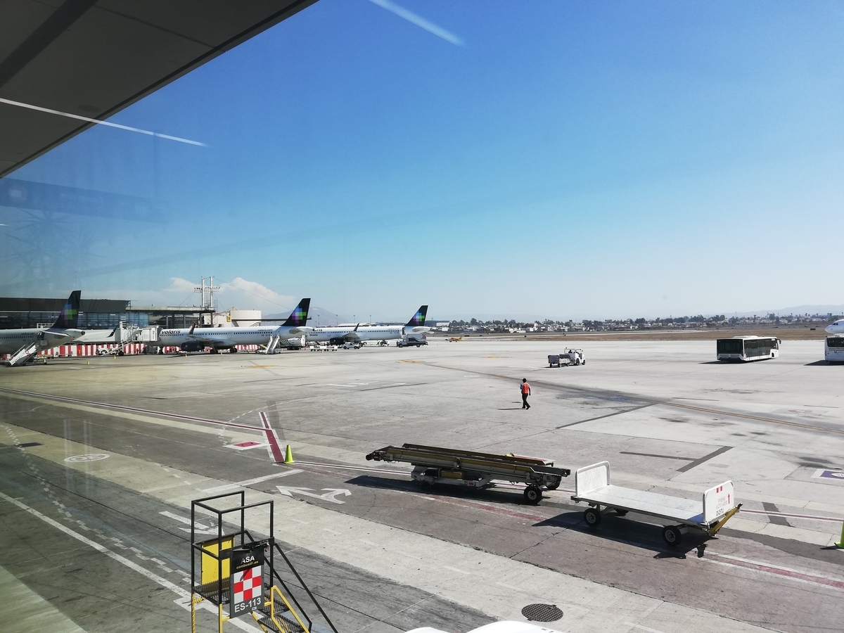f:id:jinnseiowataka:20190526233328j:plain