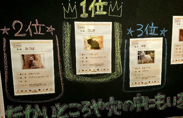 f:id:jinsan77:20170320185222j:image