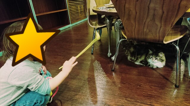 f:id:jinsan77:20170320185731j:image
