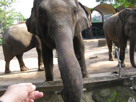 f:id:jinsei-mikiri-hassya:20211126191243j:plain