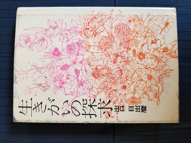 f:id:jinsei-tetsugaku:20190518115003j:image