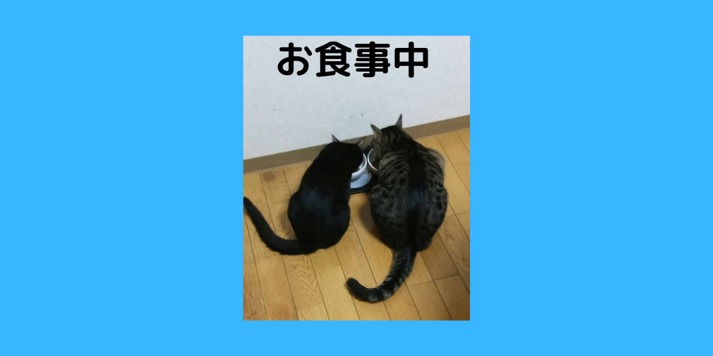 f:id:jinseihapipi:20190823233858p:plain