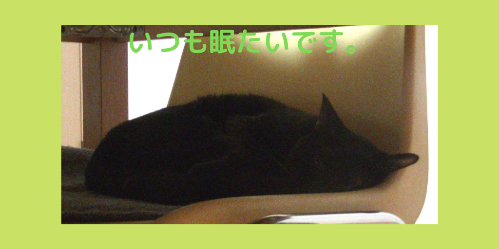 f:id:jinseihapipi:20190901215041p:plain