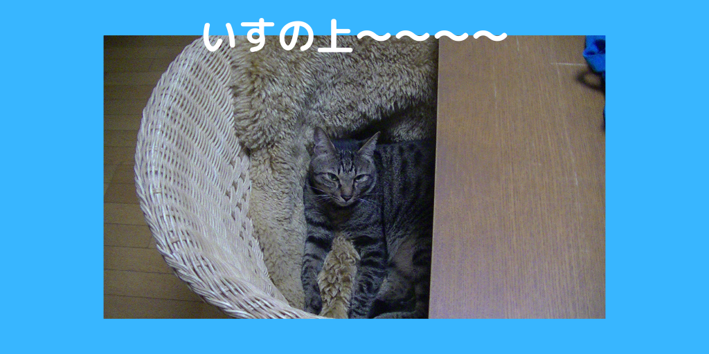 f:id:jinseihapipi:20190903214146p:plain