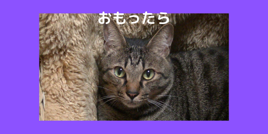 f:id:jinseihapipi:20190903214211p:plain