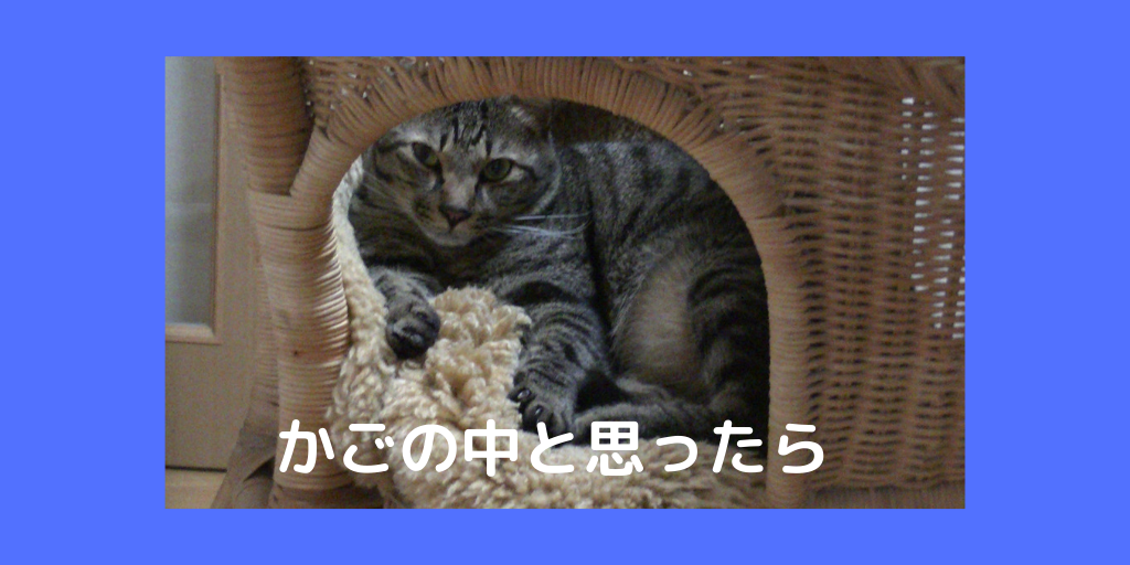 f:id:jinseihapipi:20190903214226p:plain