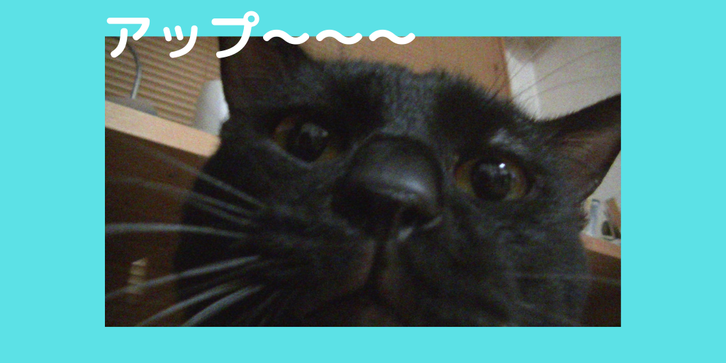 f:id:jinseihapipi:20190906220720p:plain