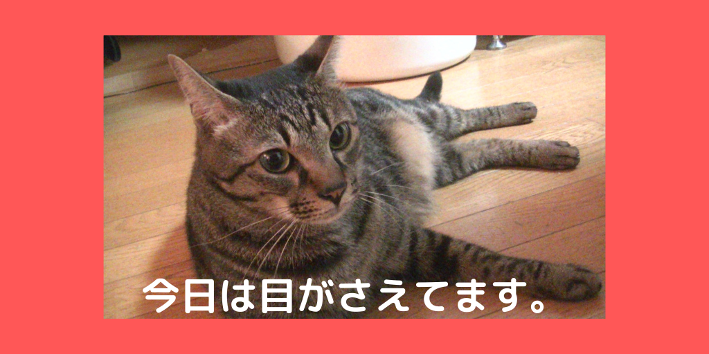 f:id:jinseihapipi:20190906220832p:plain