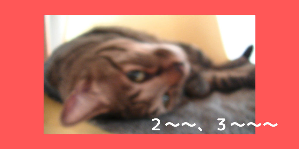 f:id:jinseihapipi:20190906220910p:plain
