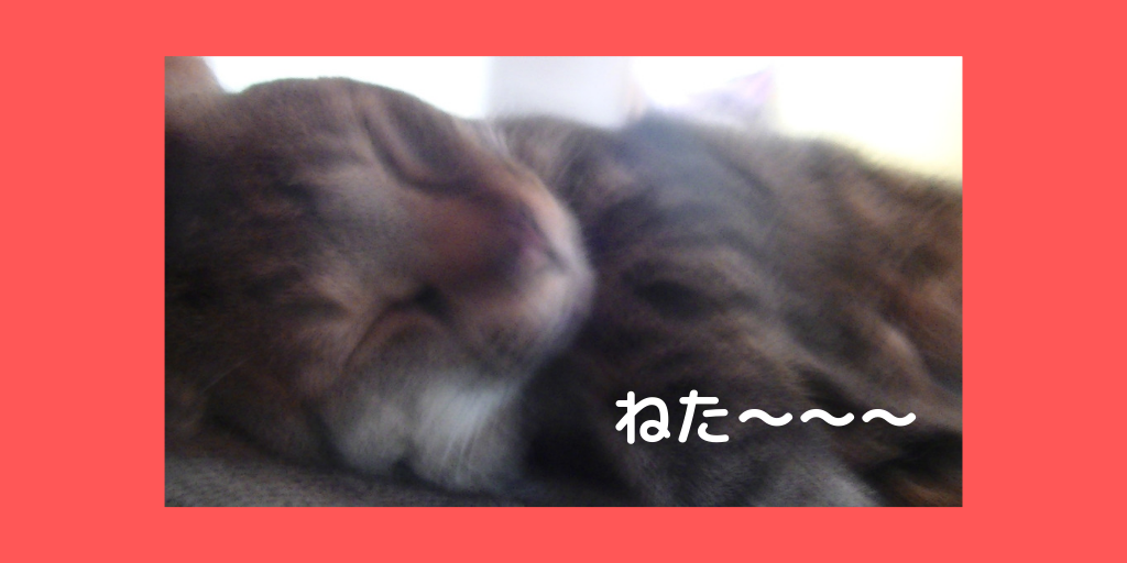 f:id:jinseihapipi:20190906220918p:plain