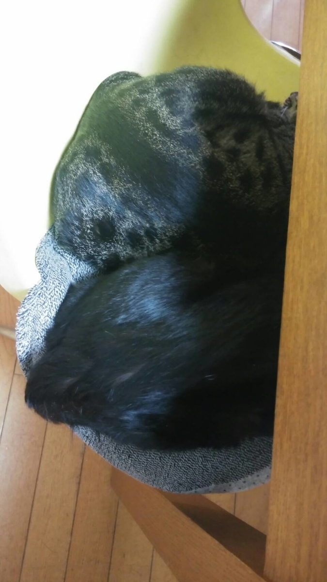f:id:jinseihapipi:20190920225407j:plain