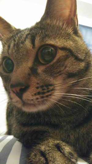 f:id:jinseihapipi:20190926223825j:plain
