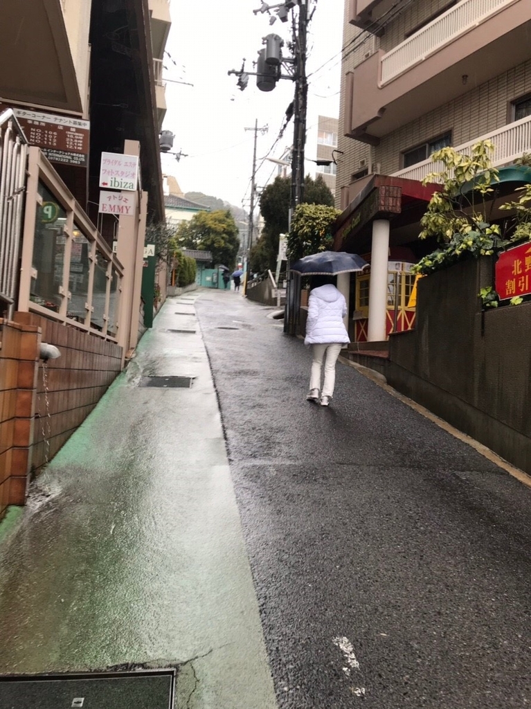 f:id:jinshiba0116:20190306003430j:plain