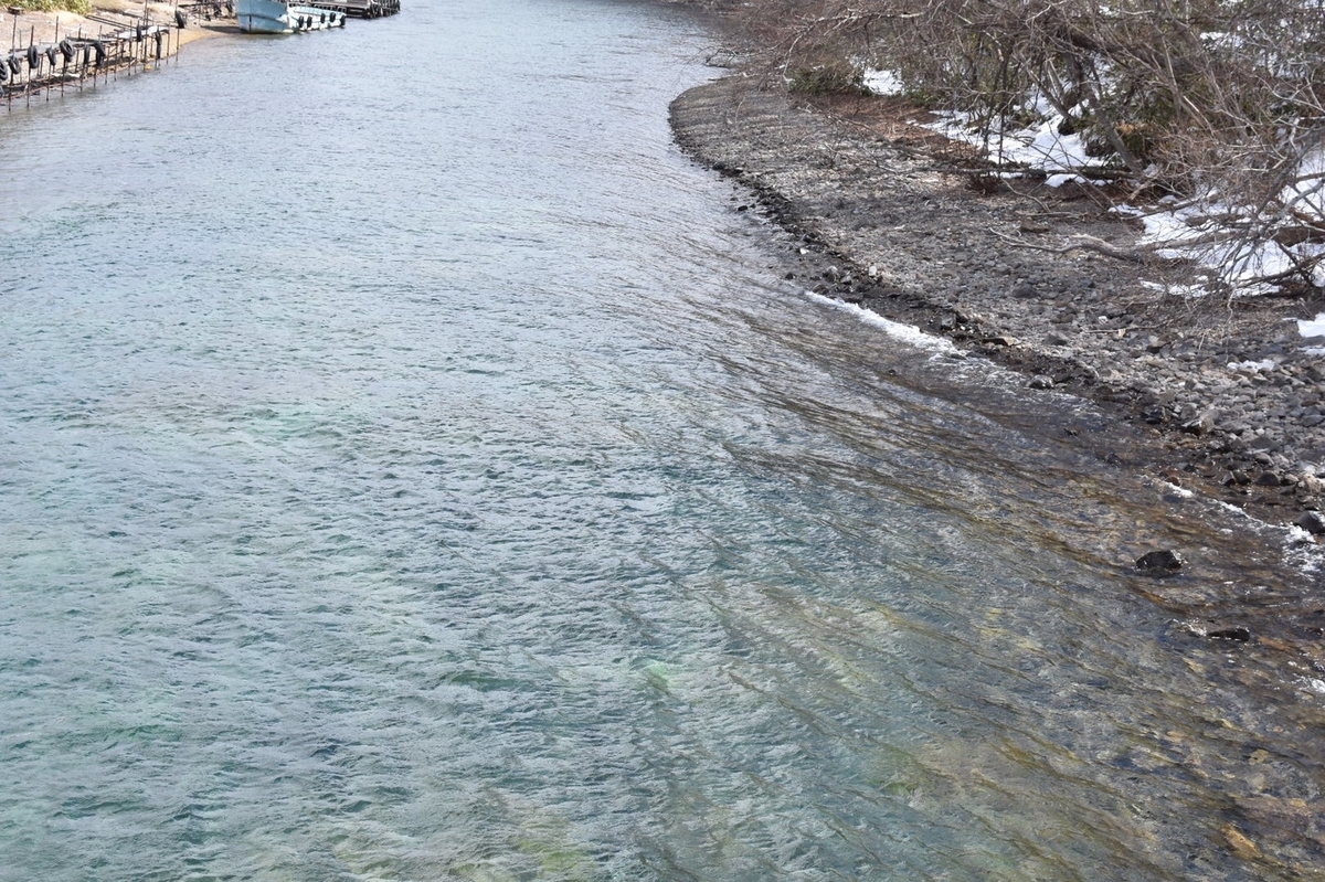 f:id:jinshiba0116:20190416164934j:plain