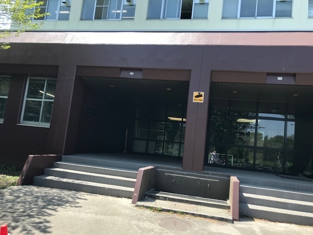 f:id:jinshiba0116:20190518150033j:plain