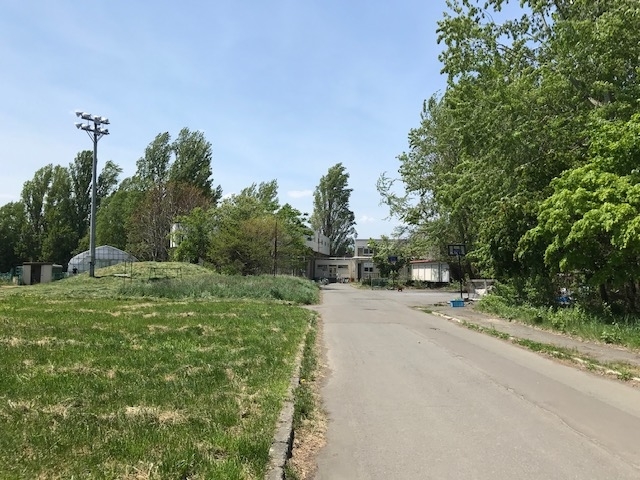 f:id:jinshiba0116:20190518150037j:plain