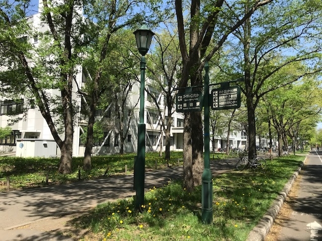f:id:jinshiba0116:20190518150044j:plain