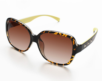 f:id:jinsnahaten:20100518205952j:image