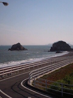 イメージ 7