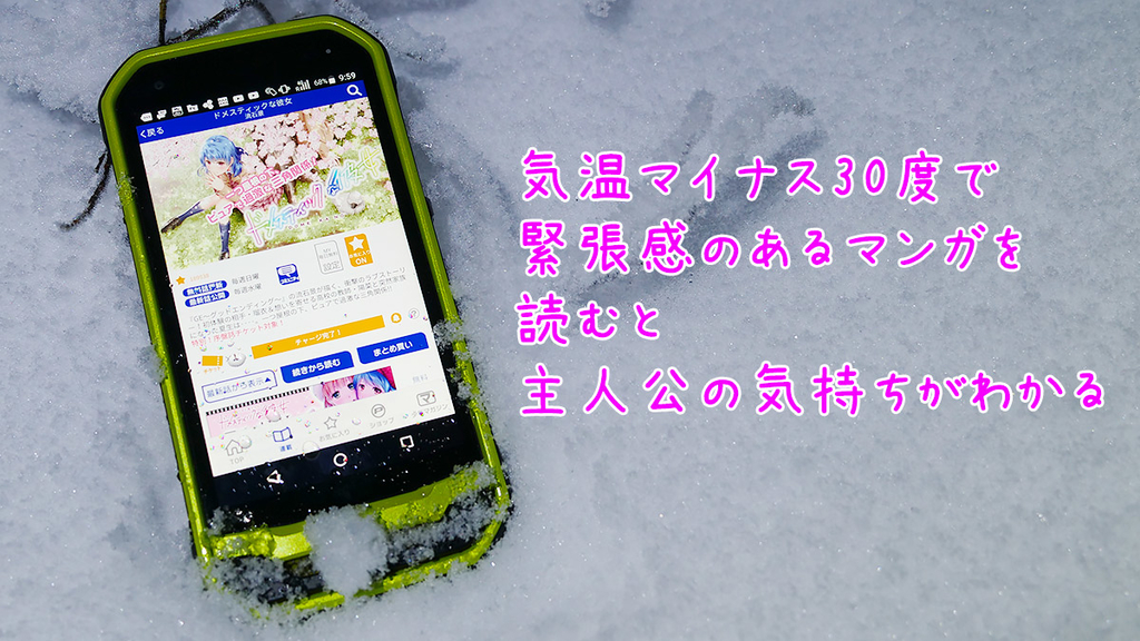 f:id:jinushikeisuke:20190109143058j:plain