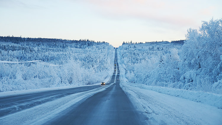 f:id:jinushikeisuke:20190109143353j:plain