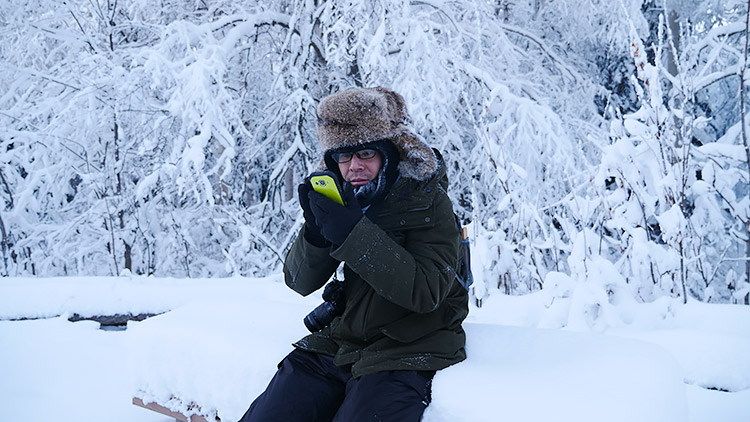 f:id:jinushikeisuke:20190109143422j:plain