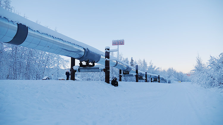 f:id:jinushikeisuke:20190109143601j:plain