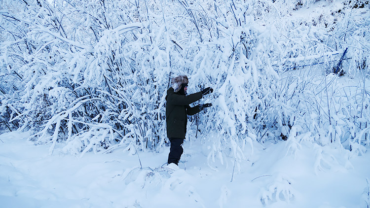 f:id:jinushikeisuke:20190109143613j:plain