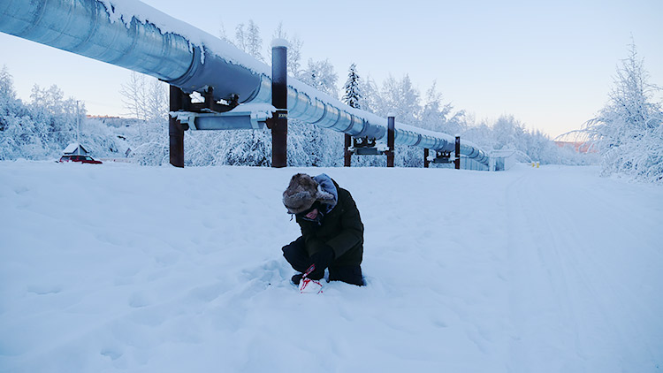 f:id:jinushikeisuke:20190109143635j:plain