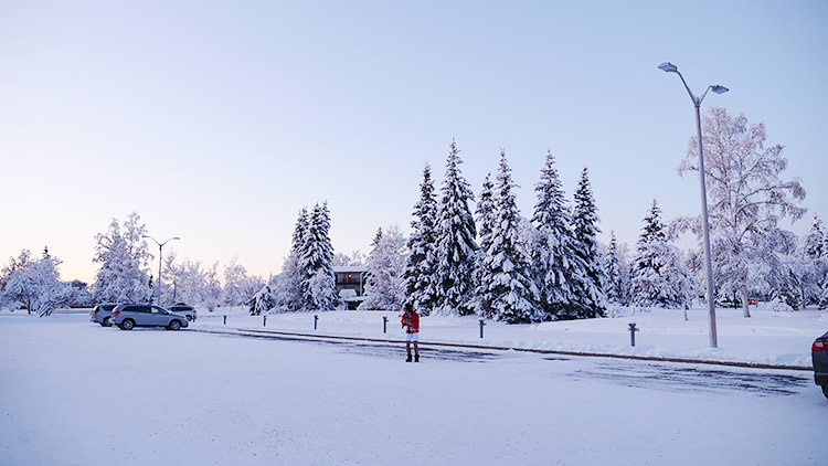 f:id:jinushikeisuke:20190109144338j:plain