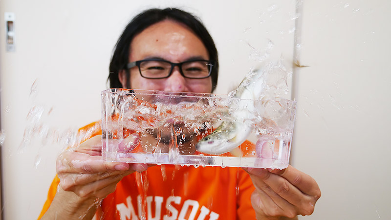 f:id:jinushikeisuke:20200801151535j:plain f:id:jinushikeisuke:20200801151535j:plain