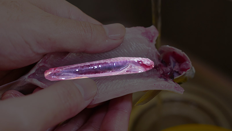 f:id:jinushikeisuke:20200801151727j:plain f:id:jinushikeisuke:20200801151727j:plain