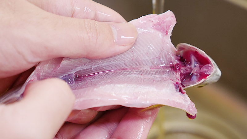 f:id:jinushikeisuke:20200801151744j:plain f:id:jinushikeisuke:20200801151744j:plain