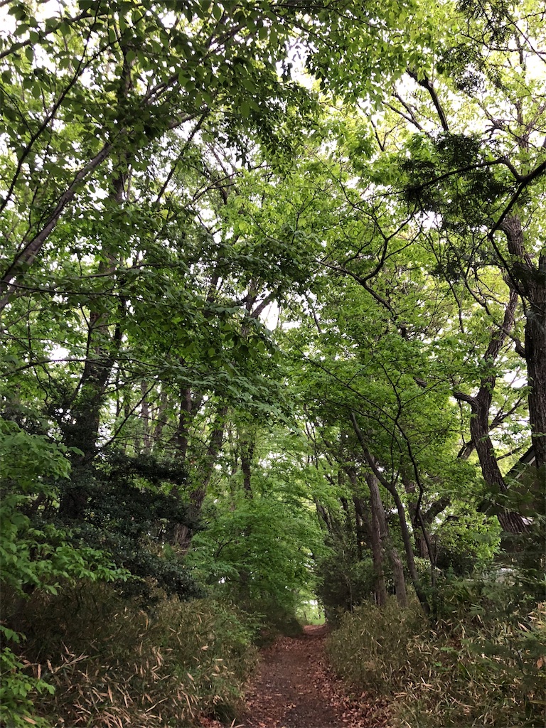f:id:jiro2622:20180506223847j:image f:id:jiro2622:20180506223847j:image
