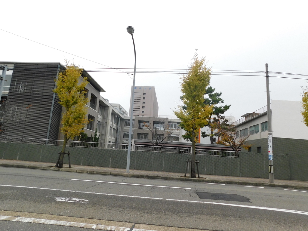 f:id:jirodaisukiojisan:20181121210802j:plain f:id:jirodaisukiojisan:20181121210802j:plain