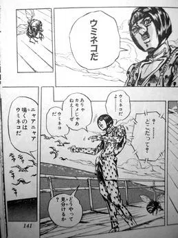 f:id:jirodaisukiojisan:20190220224920p:plain f:id:jirodaisukiojisan:20190220224920p:plain