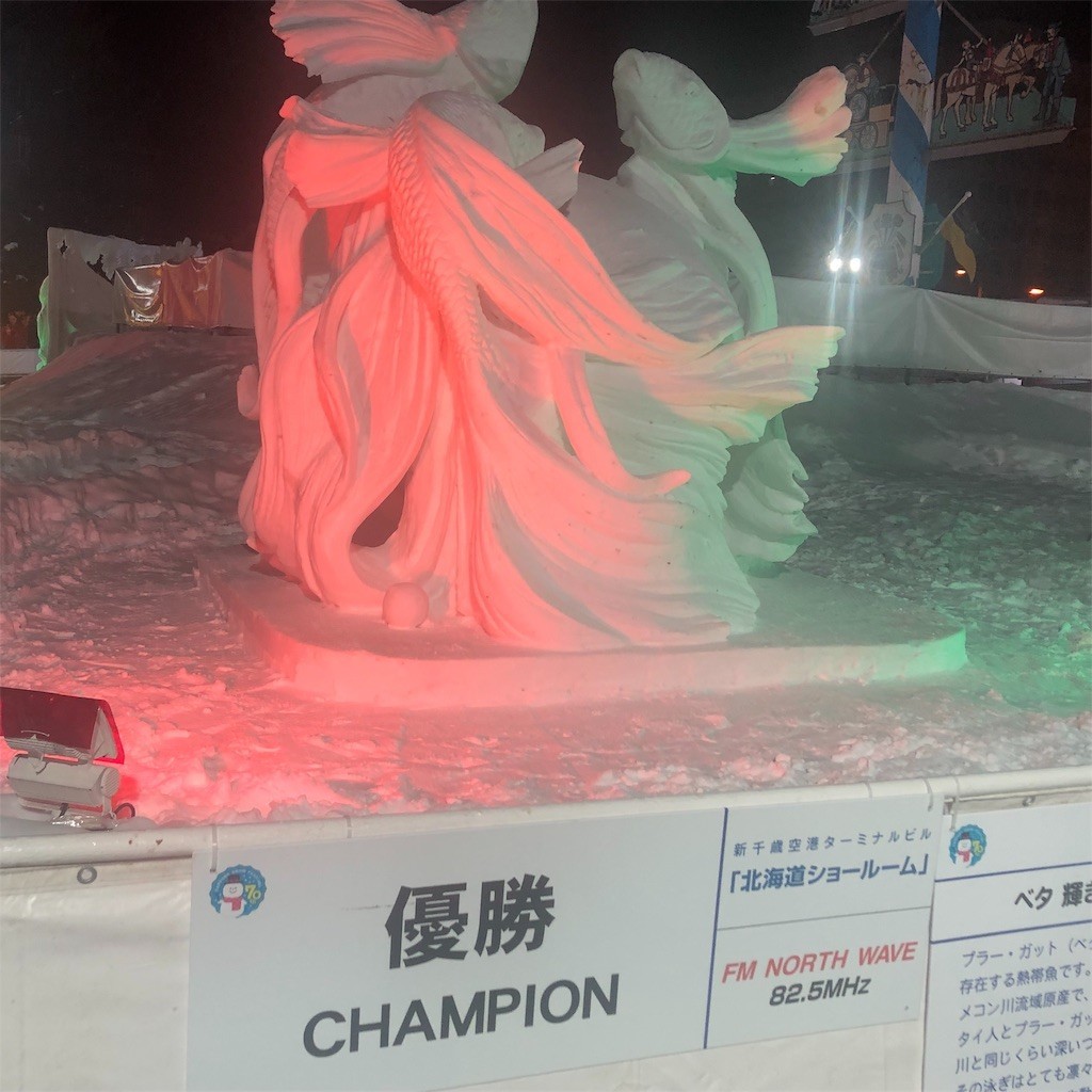 f:id:jironakayama:20190211204023j:image